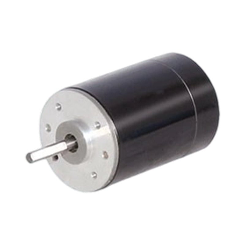 38ZY63 38mm 24V/48V 永磁有刷直流电机